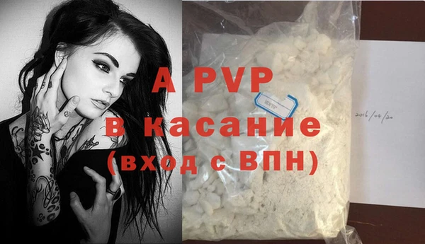 spice Бородино