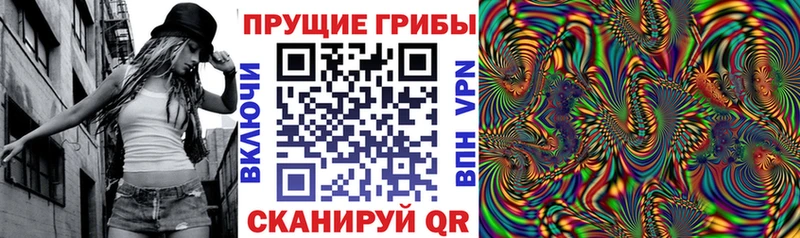 Псилоцибиновые грибы Cubensis  Новоржев 